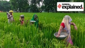 Krishi Integrated Command and Control Centre, arjun munda, farmer relief, farmer distress, Indian express explained, explained news, explained articles